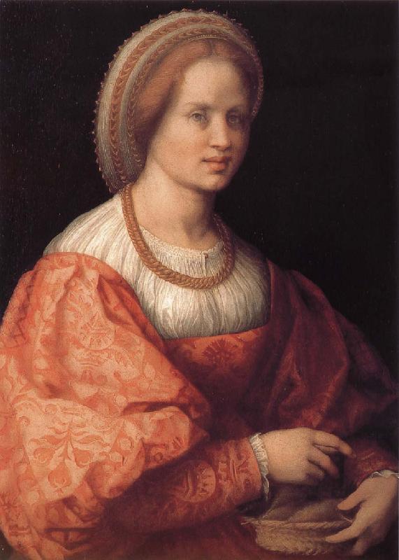 Andrea del Sarto Portrait of woman Holding basket oil painting image